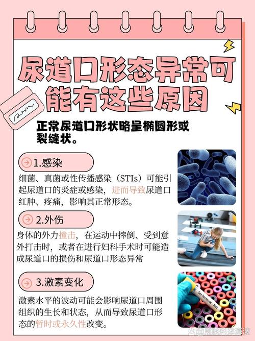 SEO标题：半夜把亲c高潮了小说，深夜禁忌情感爆发，亲昵互动高潮迭起的私密故事
