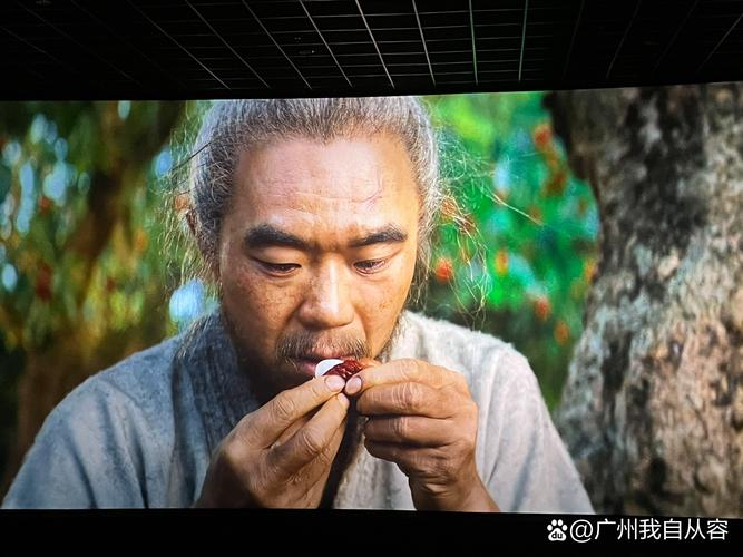 荔枝影院午夜精选：深夜宅男必备的静谧观影指南，高清资源免费追剧
