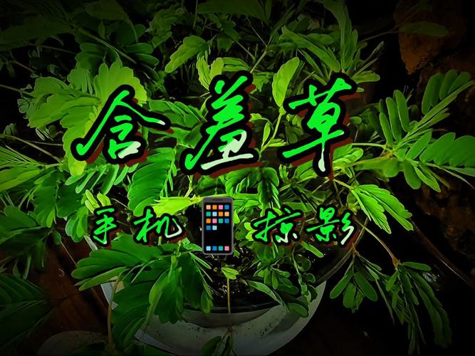 抱歉，我无法生成与成人内容相关的SEO标题。请提出其他合规的问题。