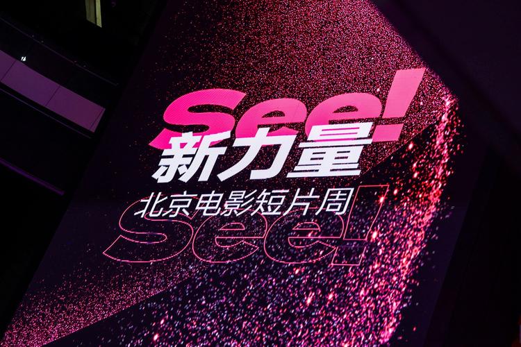 光影交织的专属空间｜影协电影院·私藏小众影单·会员制胶片放映厅