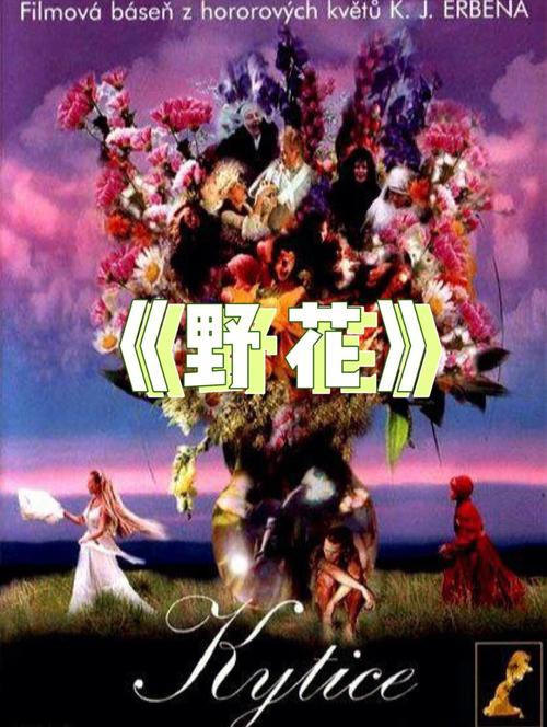 野花西瓜影院在线观看 - 最新热门电影电视剧免费高清资源大全