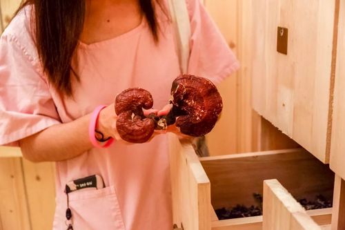神马影院GG最新地址发布页|2024稳定入口防丢失,高清影视资源免费在线观看