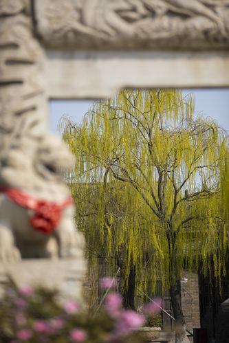 日本按摩精油与亲密关系提升指南｜深层放松、精油推油、敏感肌适用配方