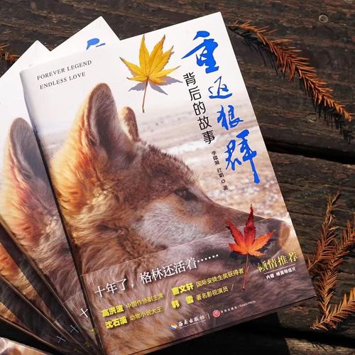 SEO标题：**92看看福利午夜影院｜免费高清午夜影视资源｜深夜在线观影平台｜宅男福利社**  
（含长尾关键词：免费高清午夜影视资源、深夜在线观影平台、宅男福利社）