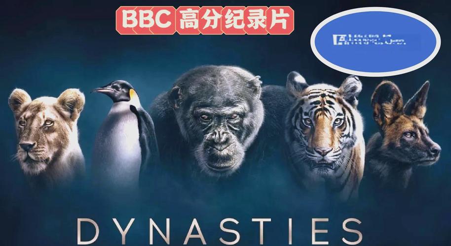 王朝影院在线观看最新热门电影电视剧，高清画质畅享追剧体验