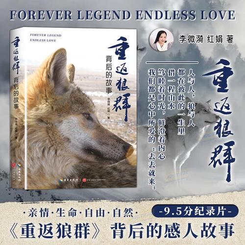 在线看五杀影院：海量高清资源免费追剧，五杀影院最新电影、电视剧极速播放