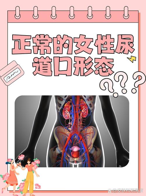 客厅大伦交侩h的相关介绍