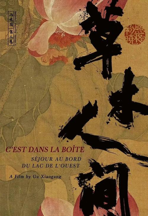 青丝影院高清版在线观看 - 2025最新免费追剧神器，无广告蓝光画质畅享全网热播剧集